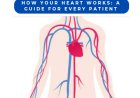 How Your Heart Works: A Guide for Every Patient