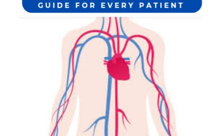 How Your Heart Works: A Guide for Every Patient
