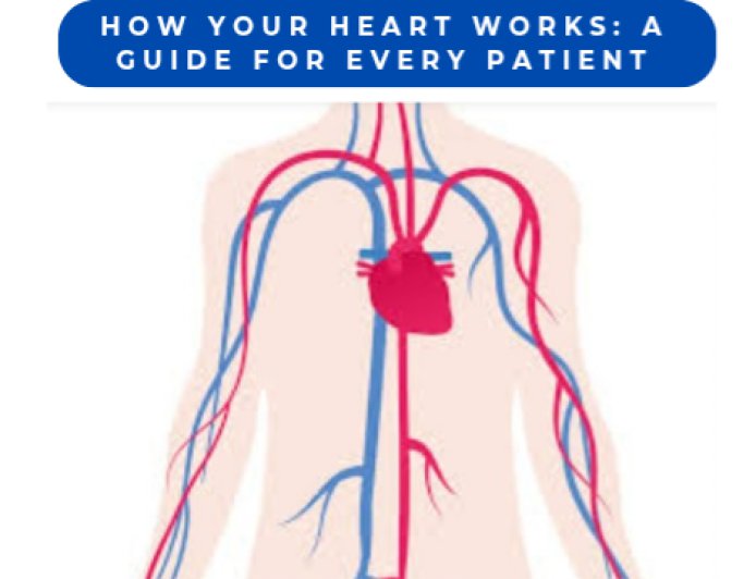 How Your Heart Works: A Guide for Every Patient