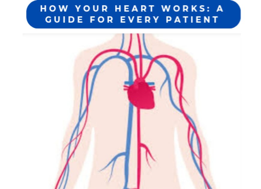 How Your Heart Works: A Guide for Every Patient