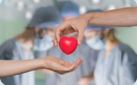 Preparing for Heart Transplant: What You Need to Know Before Surgery