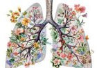 Diseases Common During Spring and Their Impact on Heart and Lungs