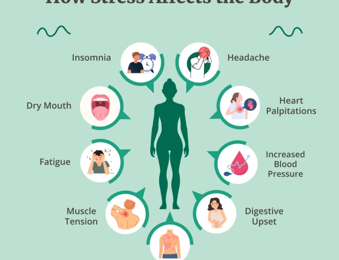 Stress: How It Affects the Heart and Lungs