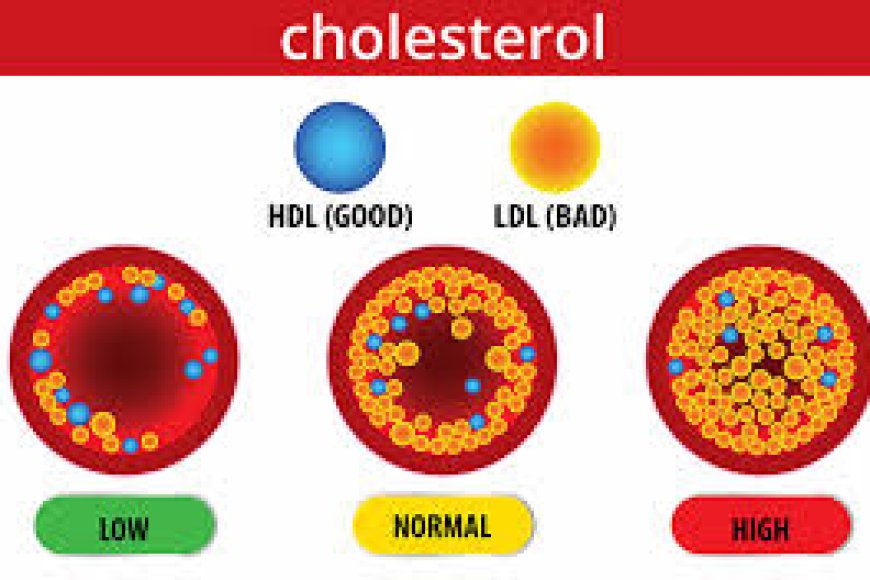 Gujarati - Is Cholesterol Eliminated or still there?