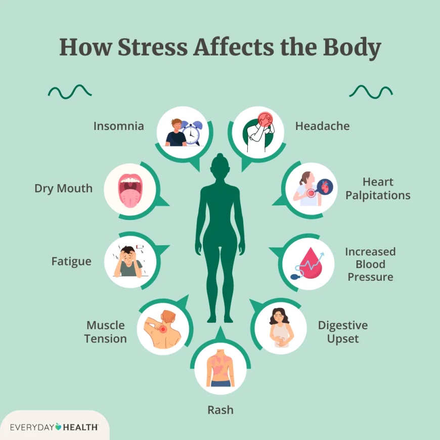 Stress: How It Affects the Heart and Lungs