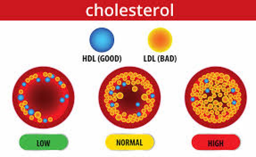 Gujarati - Is Cholesterol Eliminated or still there?